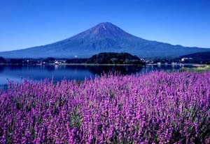 河口湖と富士山