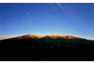 夜明けの八ヶ岳連邦・清里高原に咲く花々