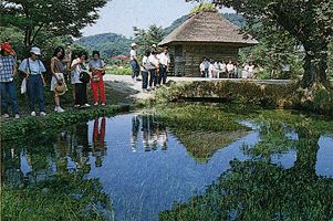 押忍八海、湧池